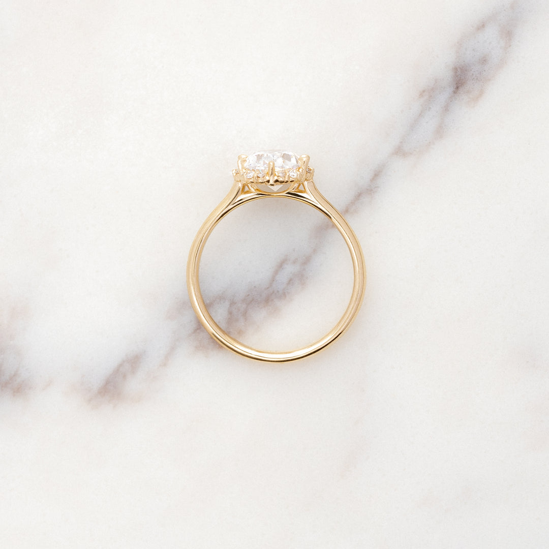 Ranunculus Oval Halo Ring