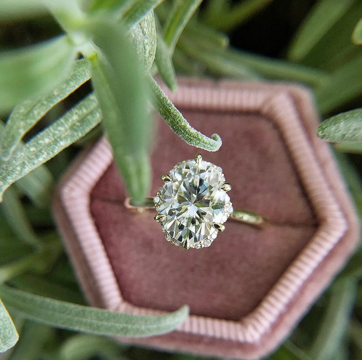 Ranunculus Oval Halo Ring