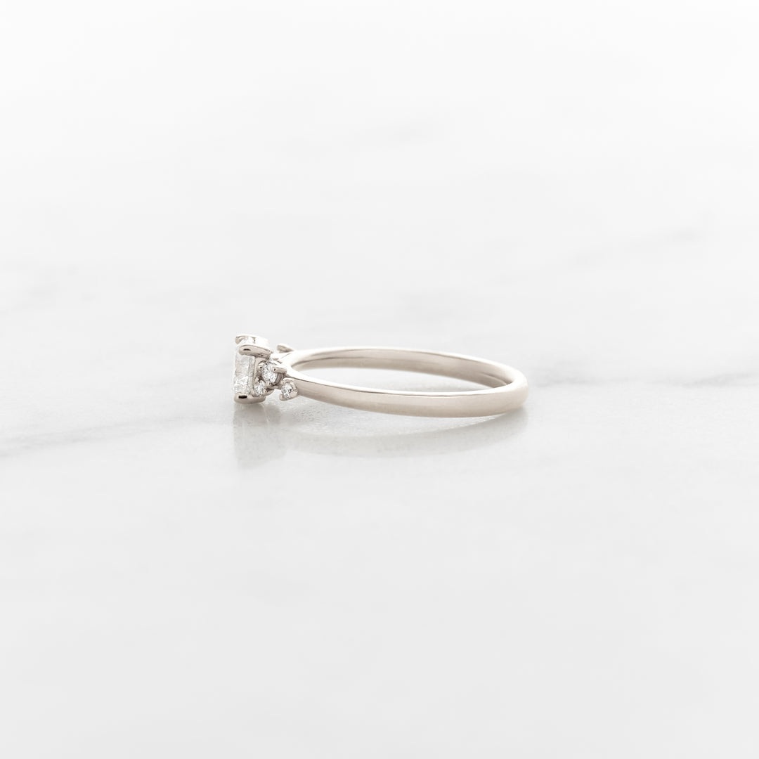 Petite Lupine Round Solitaire