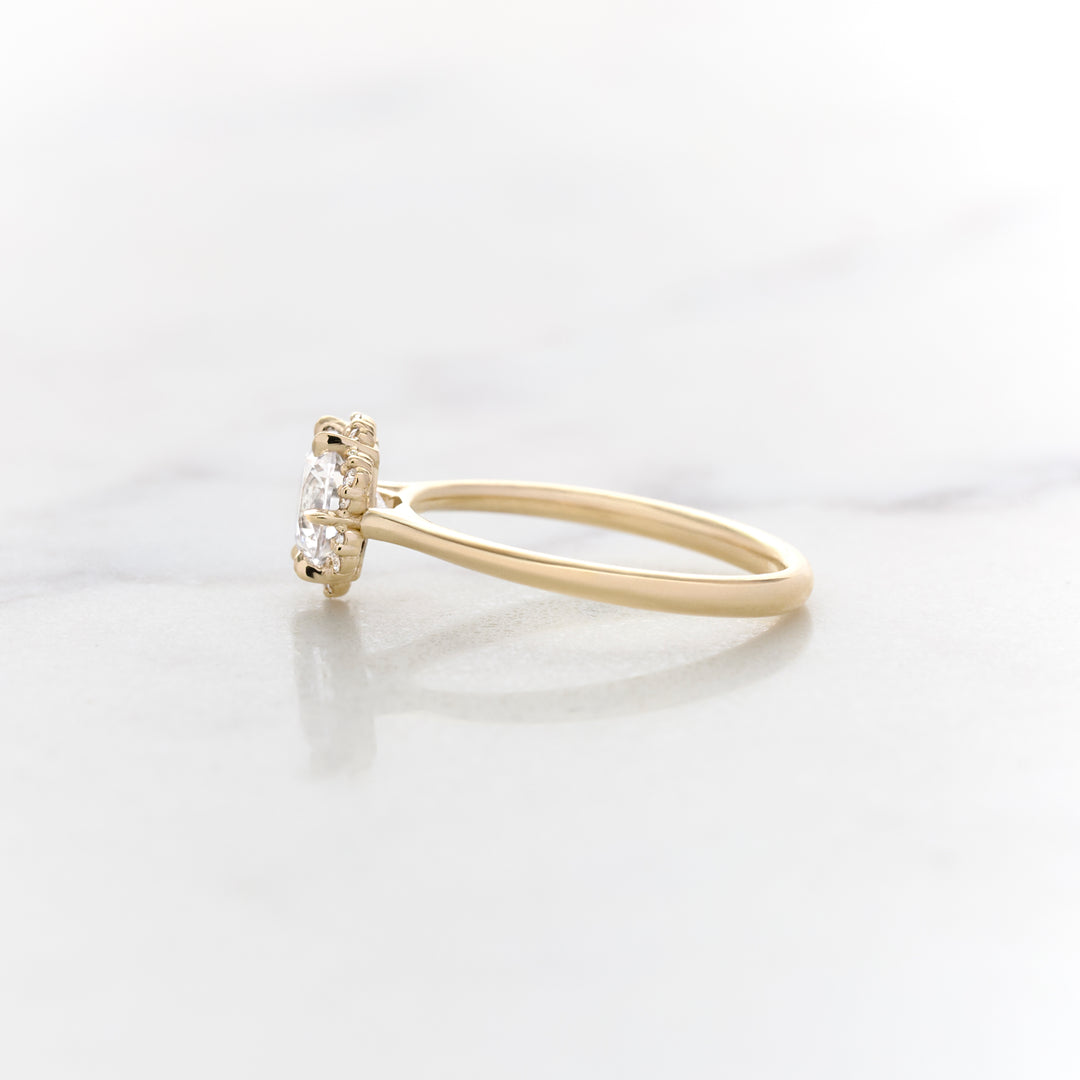 Ranunculus Round Halo Ring