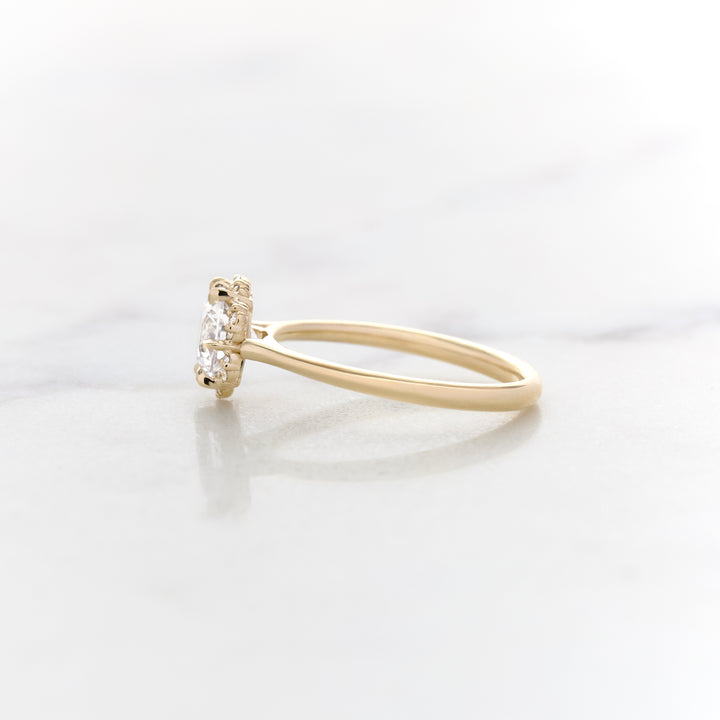 Ranunculus Round Halo Ring