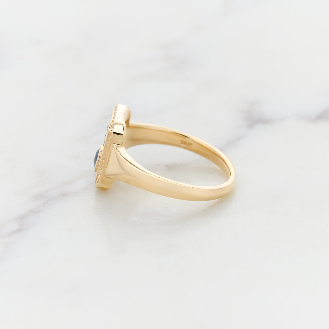 Celestial Signet Ring for Family Stones