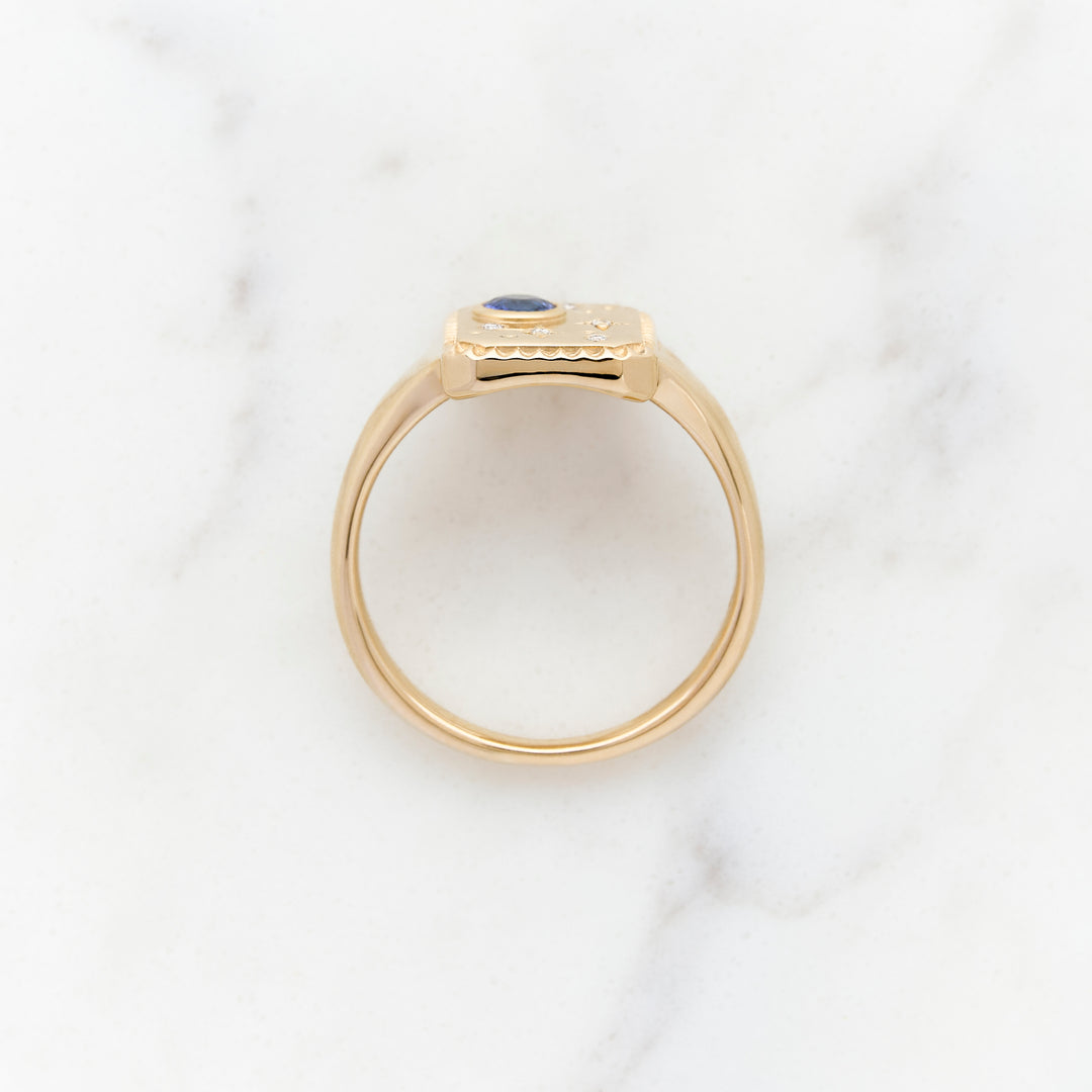 Celestial Signet Ring for Family Stones