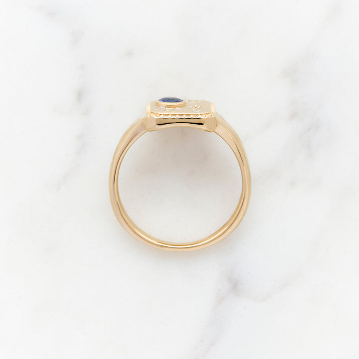 Celestial Signet Ring for Family Stones