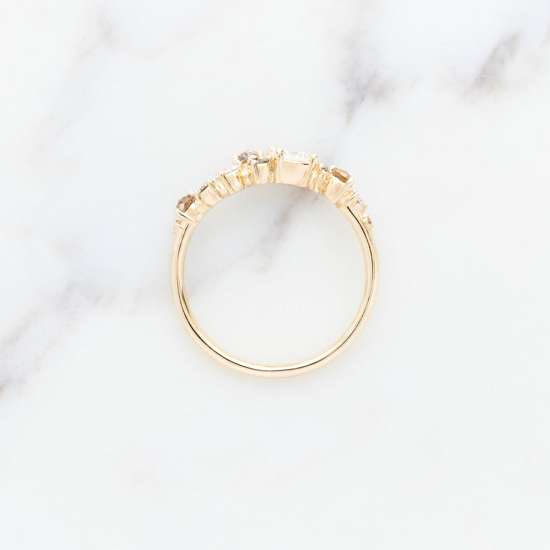 Cluster Ring Designed for Family Diamonds