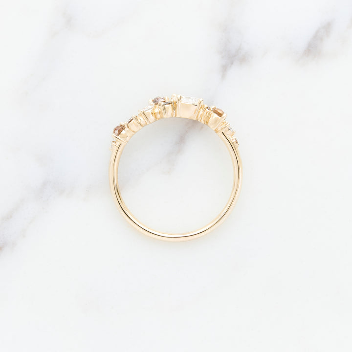 Cluster Ring Designed for Family Diamonds
