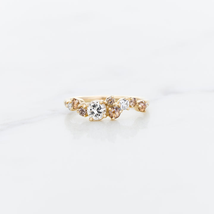 Cluster Ring Designed for Family Diamonds