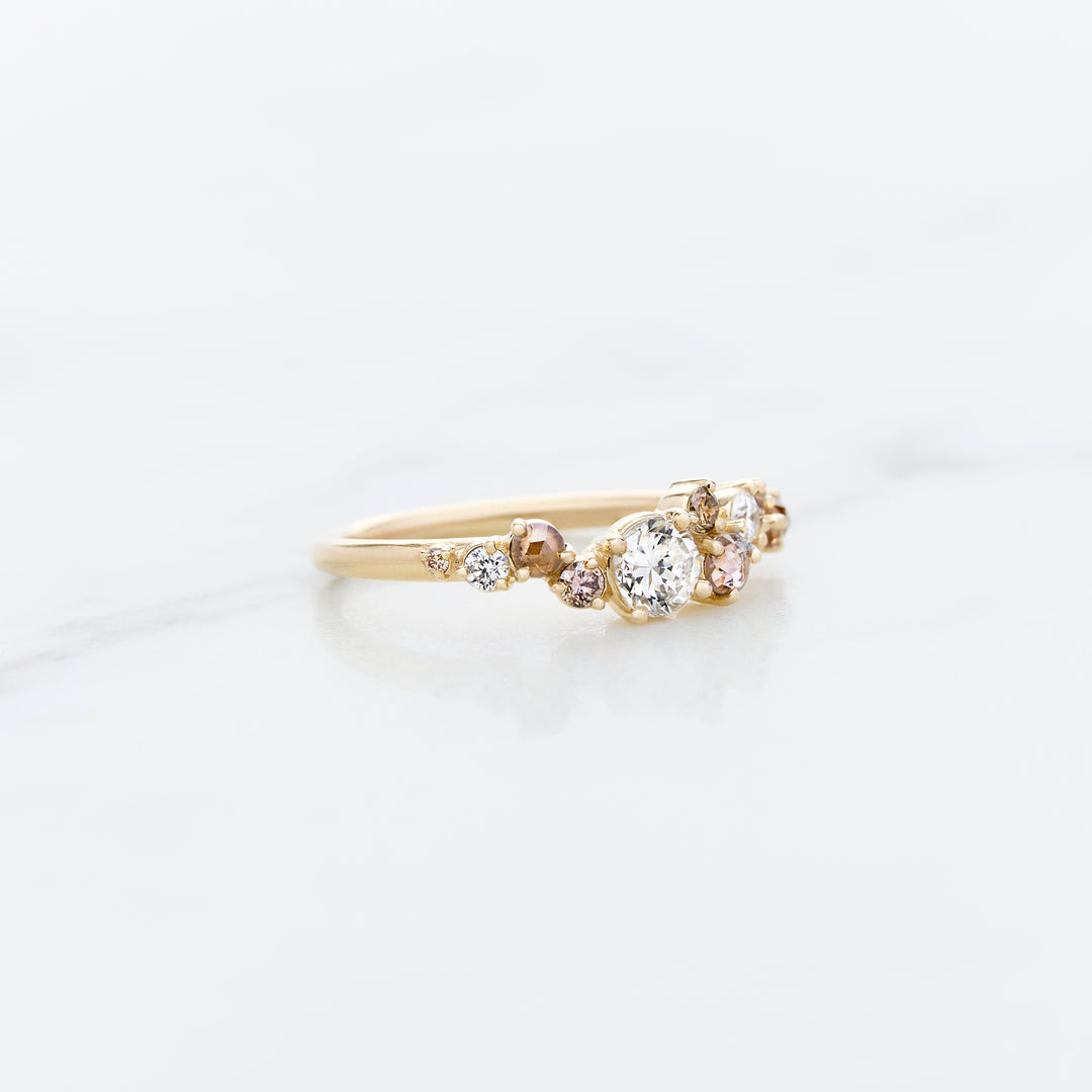 Cluster Ring Designed for Family Diamonds