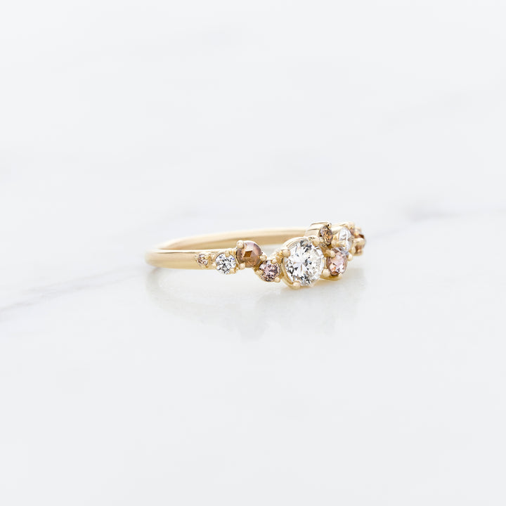 Cluster Ring Designed for Family Diamonds