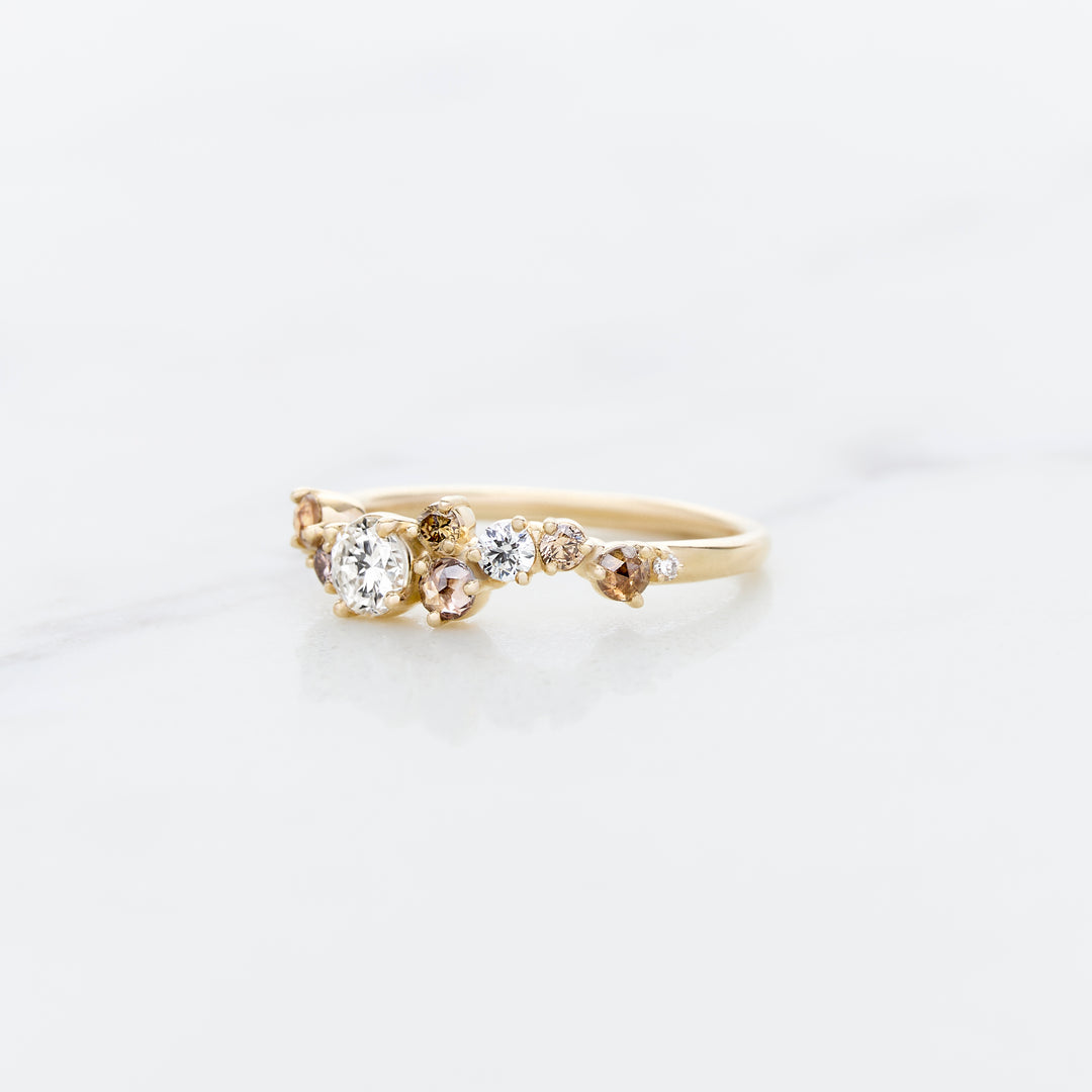 Cluster Ring Designed for Family Diamonds