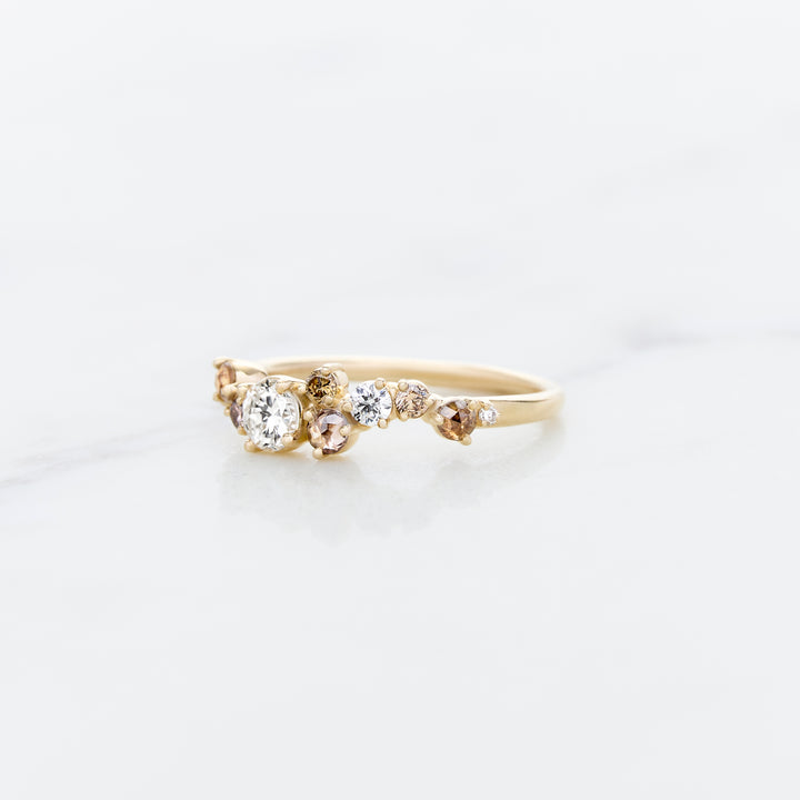 Cluster Ring Designed for Family Diamonds