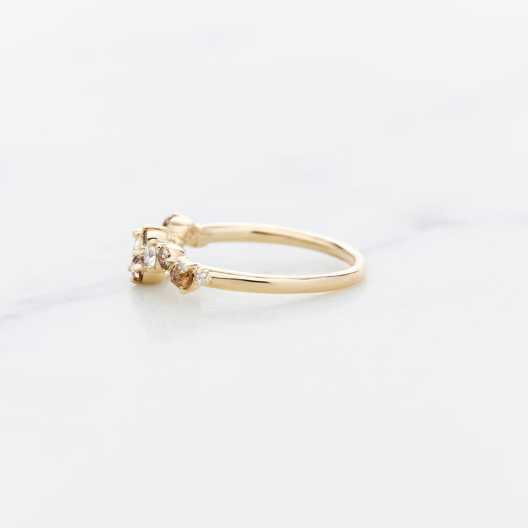 Cluster Ring Designed for Family Diamonds