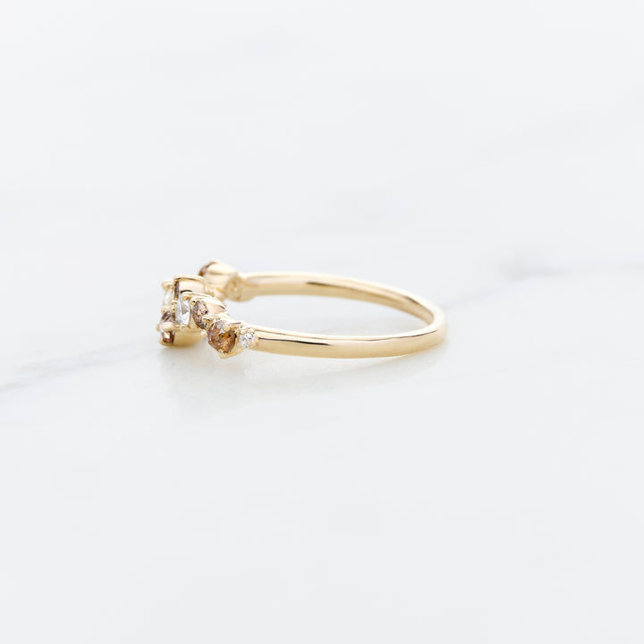 Cluster Ring Designed for Family Diamonds