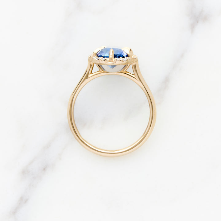 Elongated Cushion Cut Sapphire Ranunculus Halo
