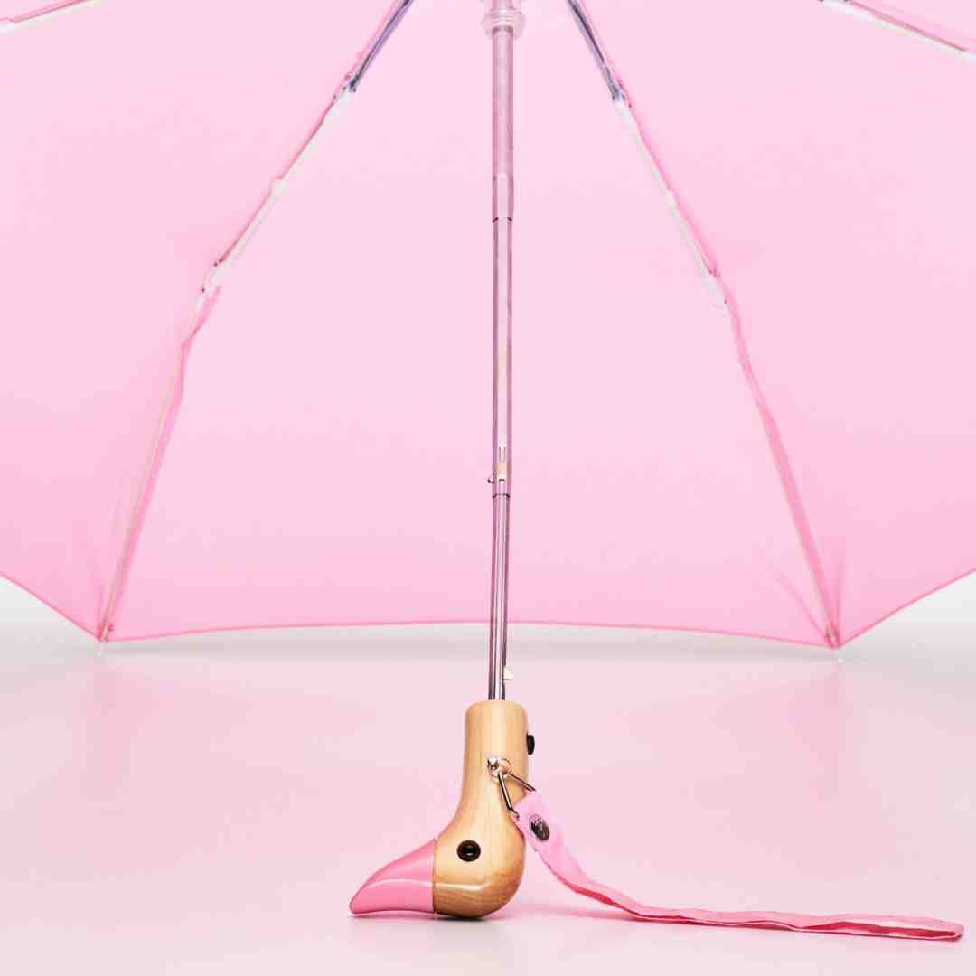 Pink Duckhead Umbrella